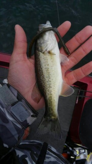 hideup 乃村弘栄 ブログ写真 2016/04/03