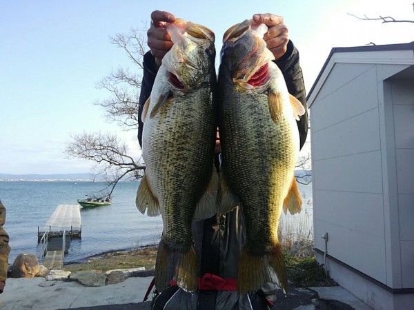 hideup 乃村弘栄 ブログ写真 2017/04/02