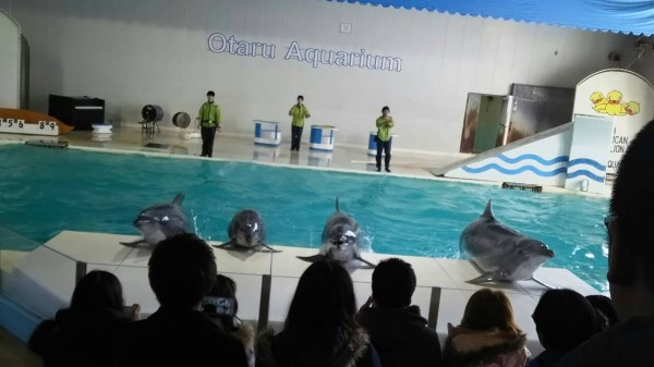 hideup 乃村弘栄 ブログ写真 2016/02/12