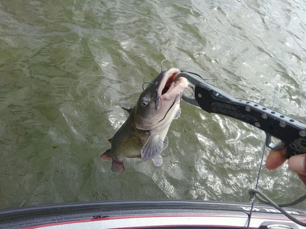 hideup 乃村弘栄 ブログ写真 2017/10/06