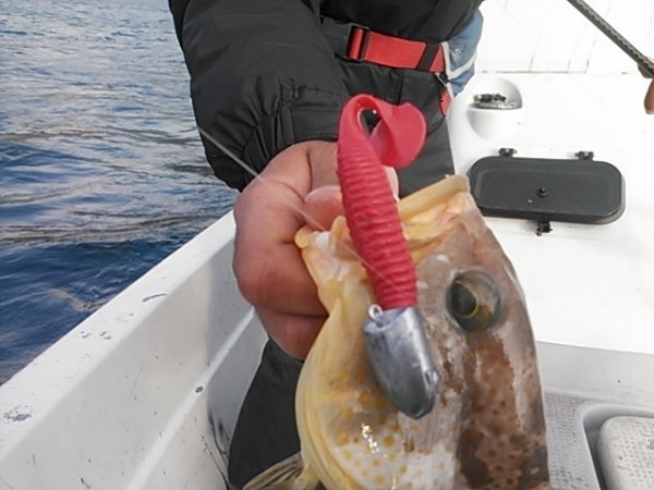 hideup 乃村弘栄 ブログ写真 2015/10/07