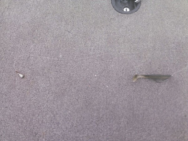 hideup 乃村弘栄 ブログ写真 2015/05/10