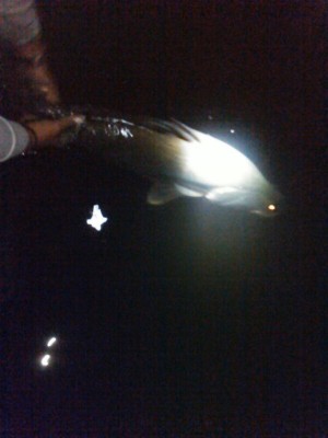 hideup 乃村弘栄 ブログ写真 2015/06/05