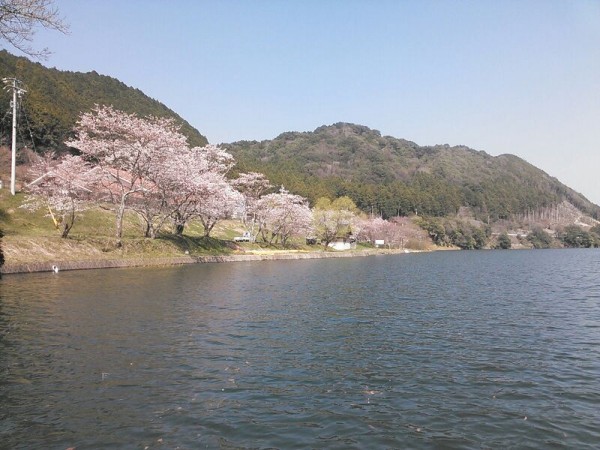 hideup 乃村弘栄 ブログ写真 2015/04/02