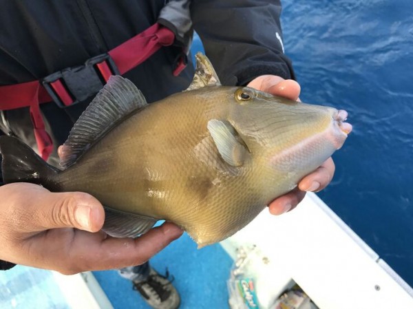 hideup 乃村弘栄 ブログ写真 2016/12/01