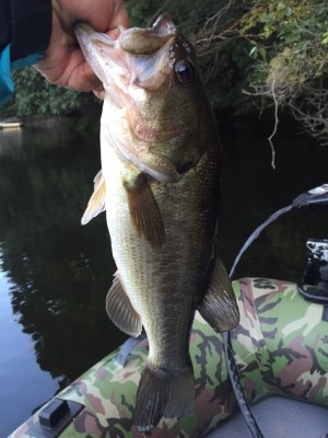 hideup 乃村弘栄 ブログ写真 2015/12/04