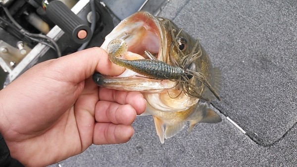 hideup 乃村弘栄 ブログ写真 2016/04/12