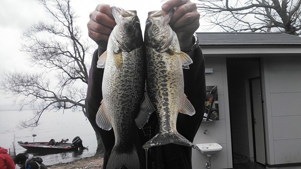 hideup 乃村弘栄 ブログ写真 2016/03/07