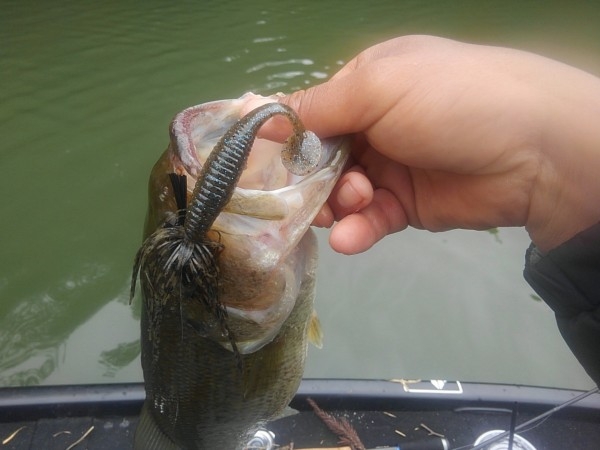 hideup 乃村弘栄 ブログ写真 2017/06/06