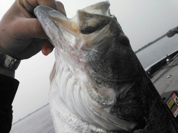 hideup 乃村弘栄 ブログ写真 2015/05/10