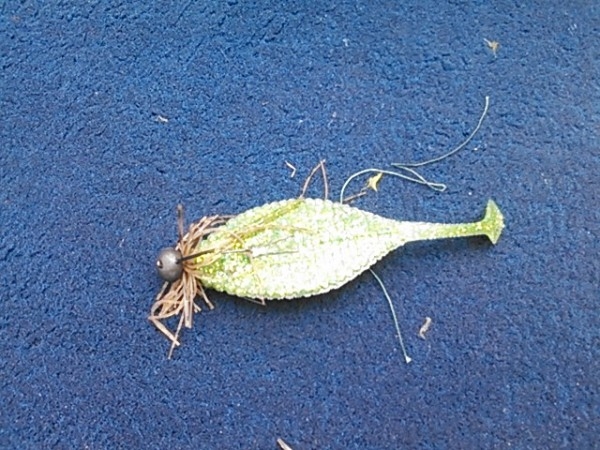 hideup 乃村弘栄 ブログ写真 2015/08/14