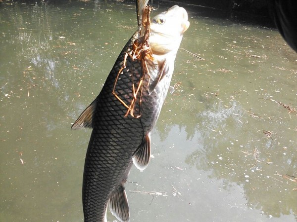 hideup 乃村弘栄 ブログ写真 2015/04/02