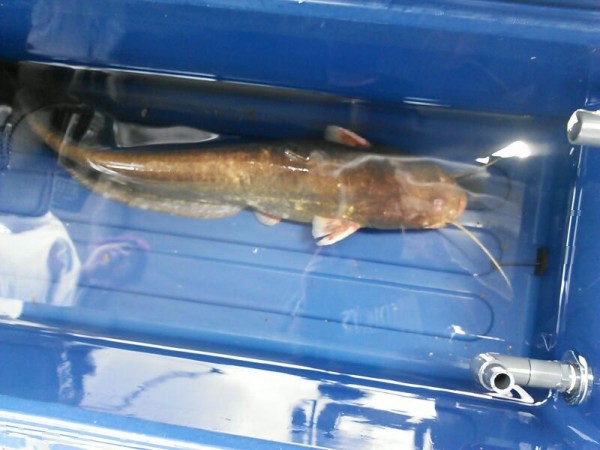 hideup 乃村弘栄 ブログ写真 2015/07/03