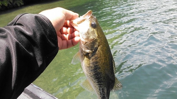 hideup 乃村弘栄 ブログ写真 2016/07/11