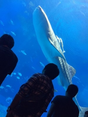 hideup 乃村弘栄 ブログ写真 2015/12/02