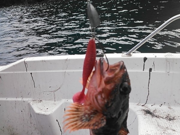 hideup 乃村弘栄 ブログ写真 2015/10/07