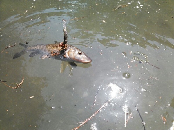 hideup 乃村弘栄 ブログ写真 2015/04/13