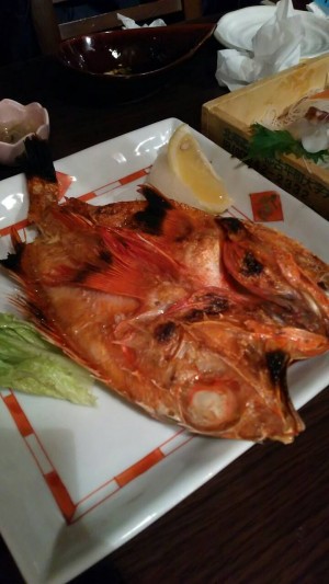 hideup 乃村弘栄 ブログ写真 2016/02/13