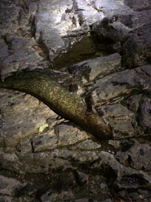 hideup 乃村弘栄 ブログ写真 2015/06/07