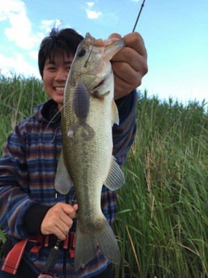 hideup 乃村弘栄 ブログ写真 2015/06/07