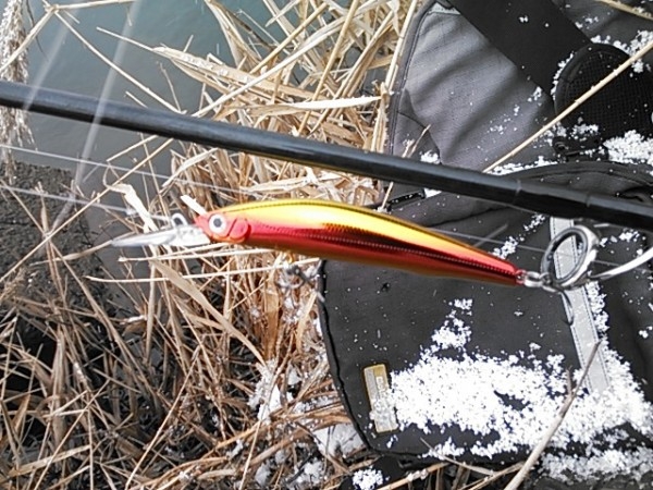 hideup 乃村弘栄 ブログ写真 2015/02/04