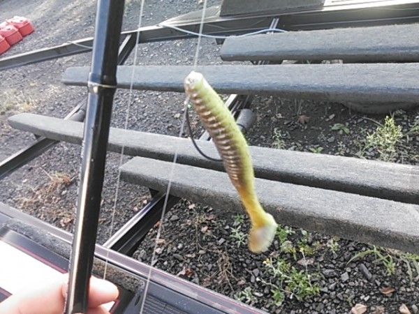 hideup 乃村弘栄 ブログ写真 2015/09/05