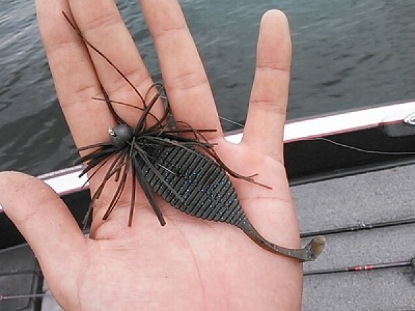 hideup 乃村弘栄 ブログ写真 2014/08/04