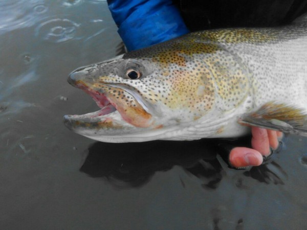 hideup 乃村弘栄 ブログ写真 2017/11/12