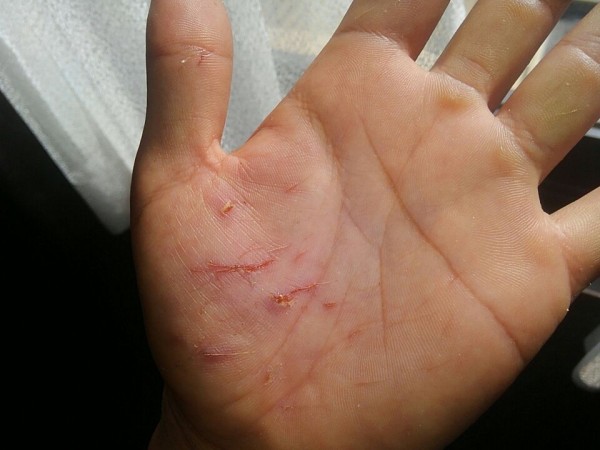 hideup 乃村弘栄 ブログ写真 2017/08/04