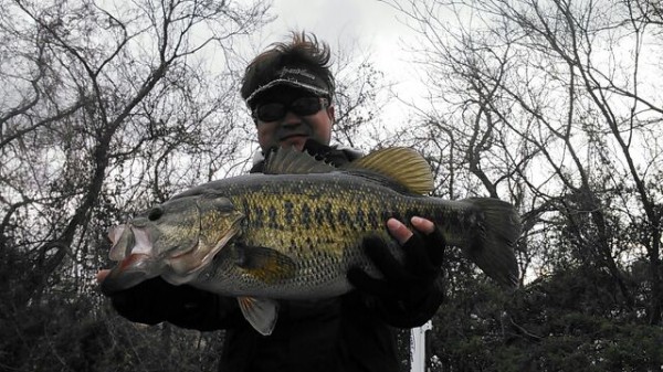 hideup 乃村弘栄 ブログ写真 2016/04/03