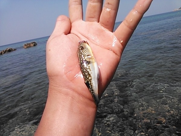 hideup 乃村弘栄 ブログ写真 2015/08/06