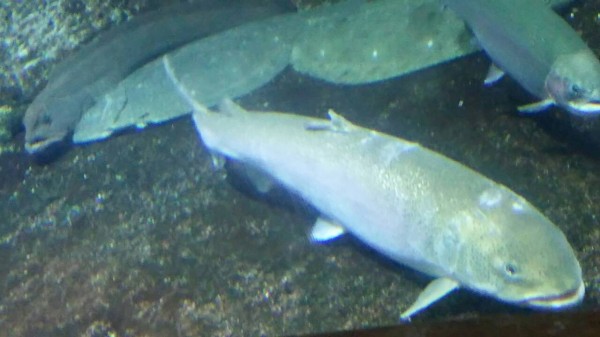 hideup 乃村弘栄 ブログ写真 2016/02/12