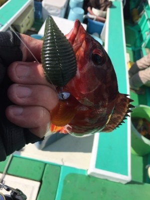 hideup 乃村弘栄 ブログ写真 2017/03/03