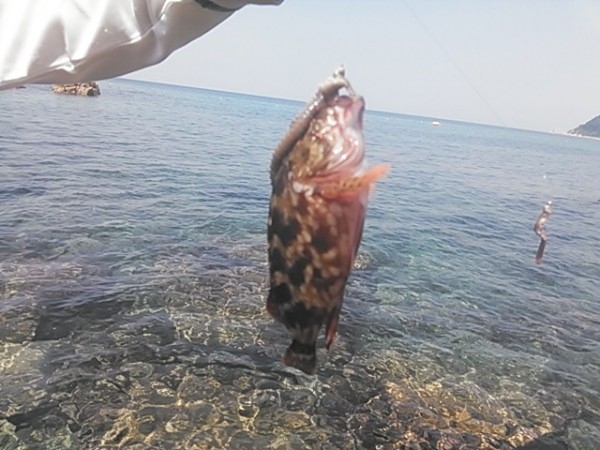 hideup 乃村弘栄 ブログ写真 2015/08/06