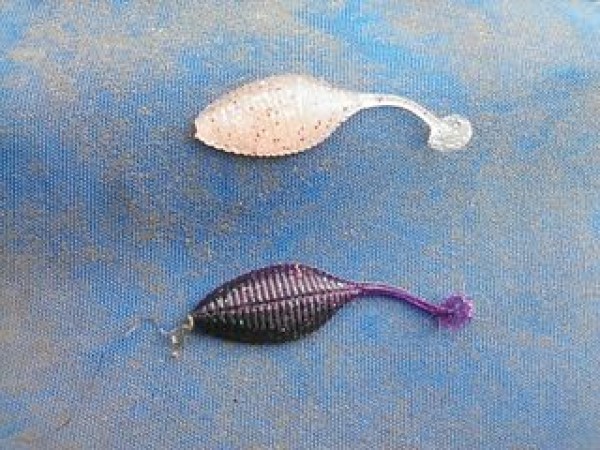 hideup 乃村弘栄 ブログ写真 2014/11/05