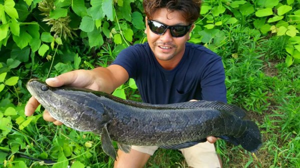 hideup 乃村弘栄 ブログ写真 2016/08/03