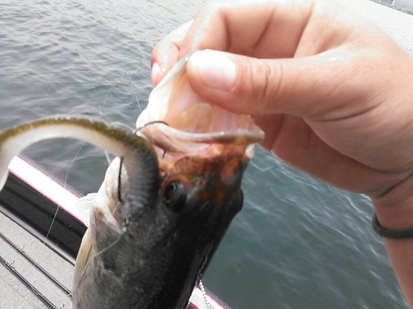 hideup 乃村弘栄 ブログ写真 2015/06/11