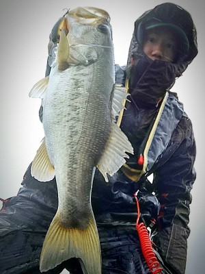 hideup 乃村弘栄 ブログ写真 2016/04/13