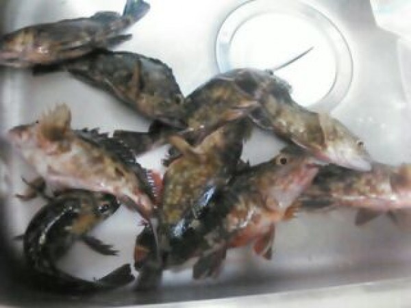 hideup 乃村弘栄 ブログ写真 2014/12/03