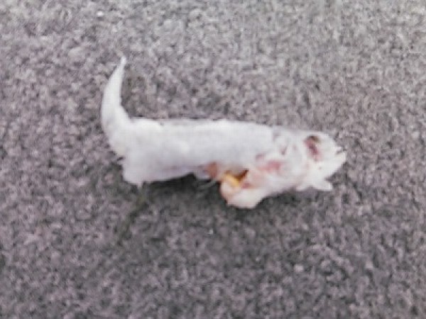 hideup 乃村弘栄 ブログ写真 2014/08/04