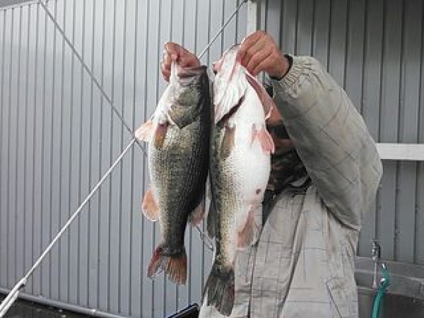 hideup 乃村弘栄 ブログ写真 2014/12/08