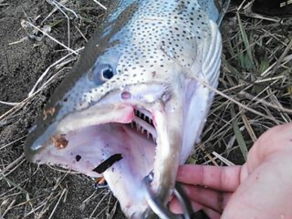 hideup 乃村弘栄 ブログ写真 2014/11/03