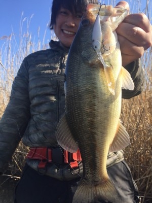 hideup 乃村弘栄 ブログ写真 2017/01/07