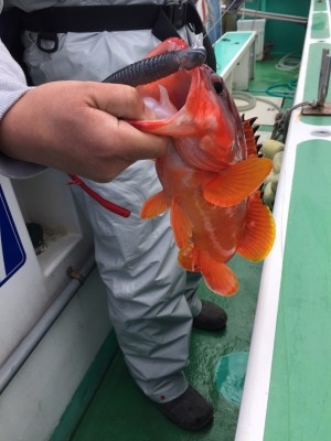 hideup 乃村弘栄 ブログ写真 2017/03/03