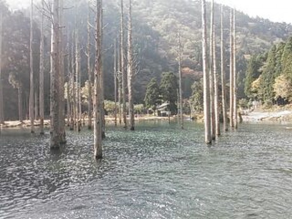 hideup 乃村弘栄 ブログ写真 2014/11/08