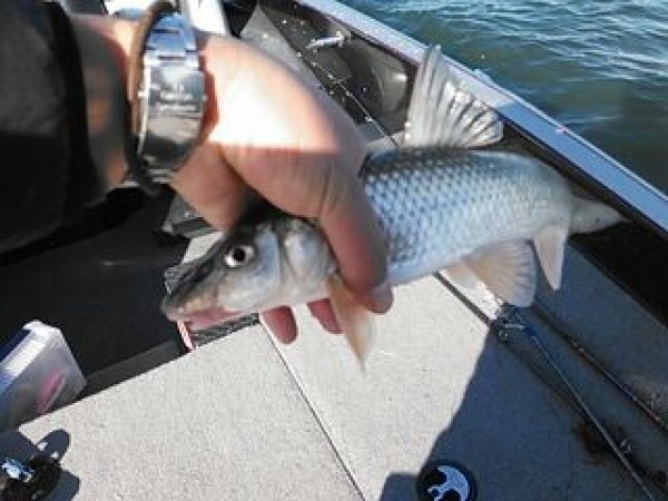 hideup 乃村弘栄 ブログ写真 2014/11/05