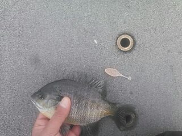 hideup 乃村弘栄 ブログ写真 2014/11/05