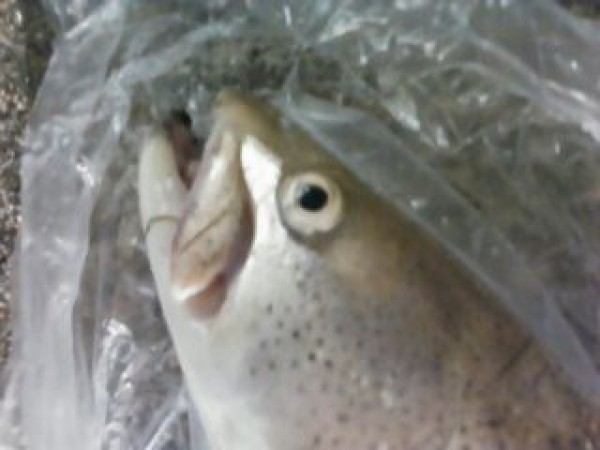 hideup 乃村弘栄 ブログ写真 2014/11/01