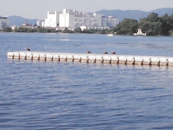 hideup 乃村弘栄 ブログ写真 2015/08/15