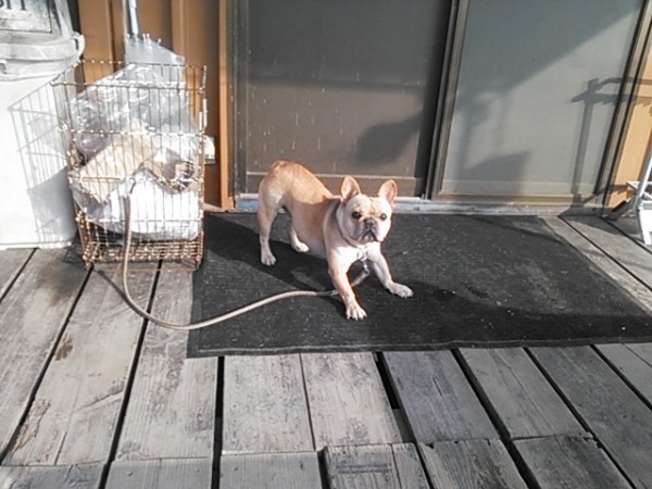 hideup 乃村弘栄 ブログ写真 2015/01/10